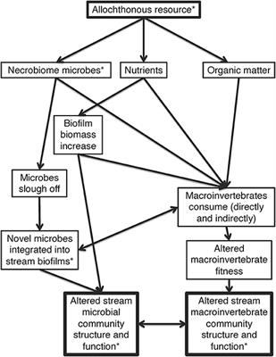 Microbial Community Response to a Novel Salmon Resource Subsidy